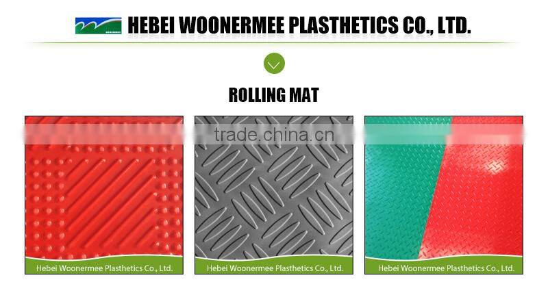 PVC Waterproof Funny Bath Mat