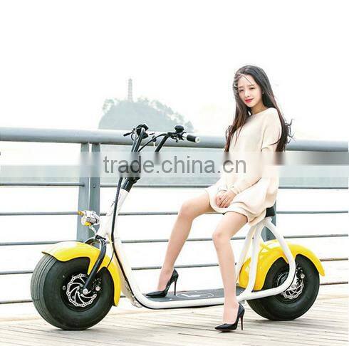800w citycoco/seev/woqu 2 wheel self balancing handicap electric scooter