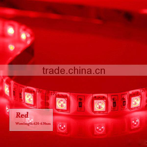 5050 SMD 60led/m Blue Waterproof 300leds LED Flexible Strip Light CE/ROHS