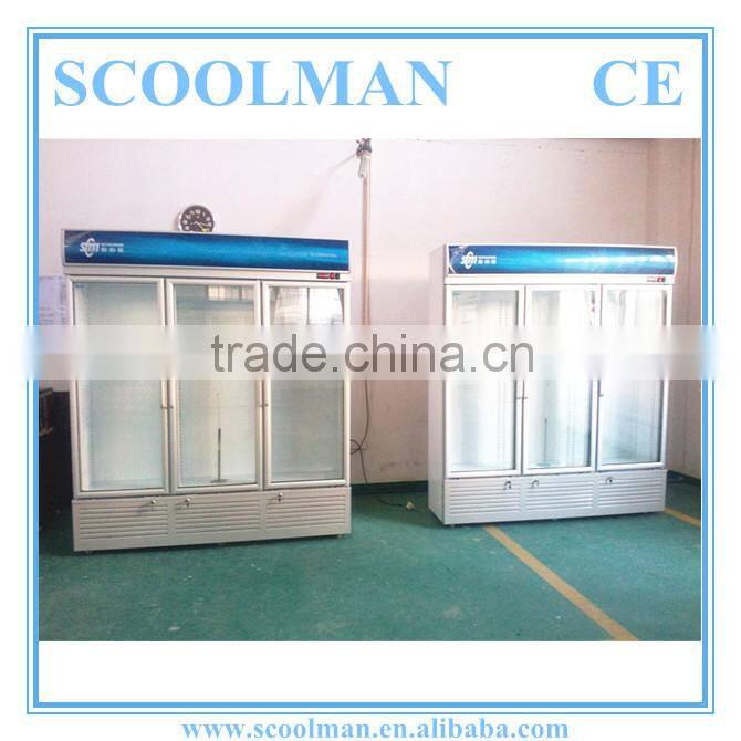 Store and Mall Transparent Glass Display Fridge
