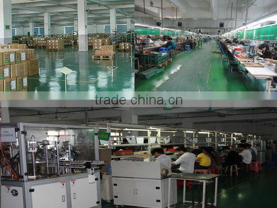 DC Worm Gear Motors for actuator