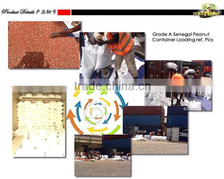 Grade AAA Senegal African Peanut Kernel premium raw blanched in shell red skin peanut butter CPT CIF CFR CHINA WORLD MARKET