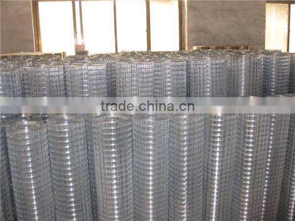 Electro Galvanized Welded Wire Mesh cheap chicken wire