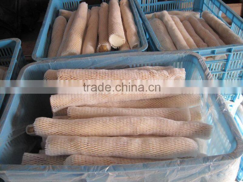 High quality organic Wild Yam with Diosgenin