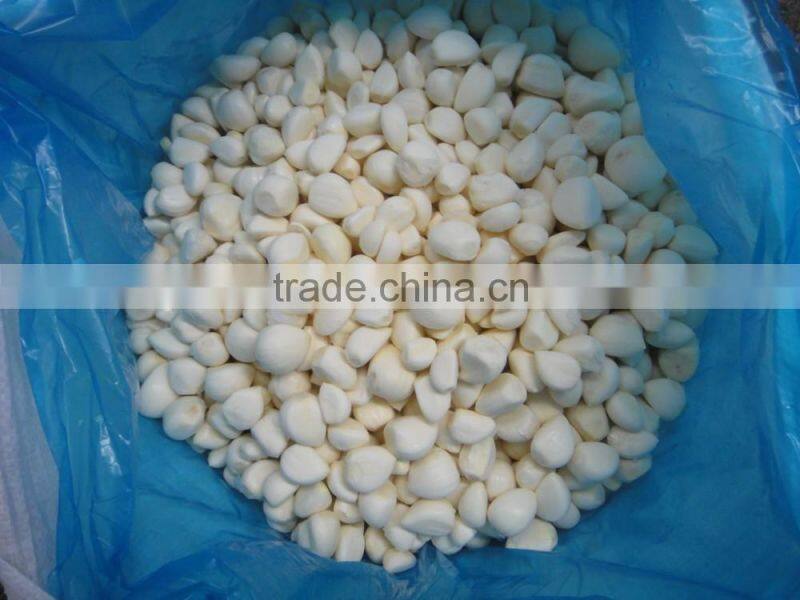 IQF Peeled Garlic