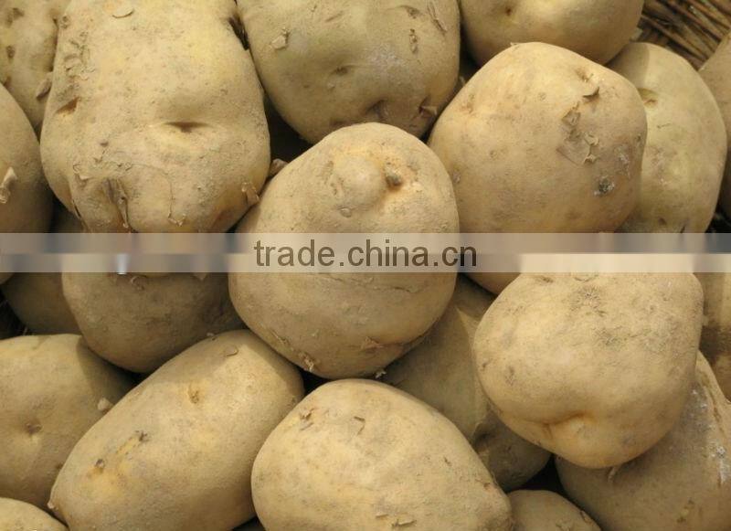 Fresh potato