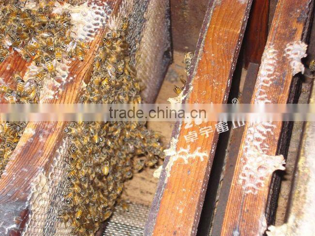 hot sale customizable wooden beehive