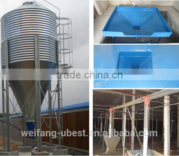 Chicken farm poultry equipment for sale