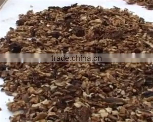 Automatic Walnut processing machine/walnut shell remover machine
