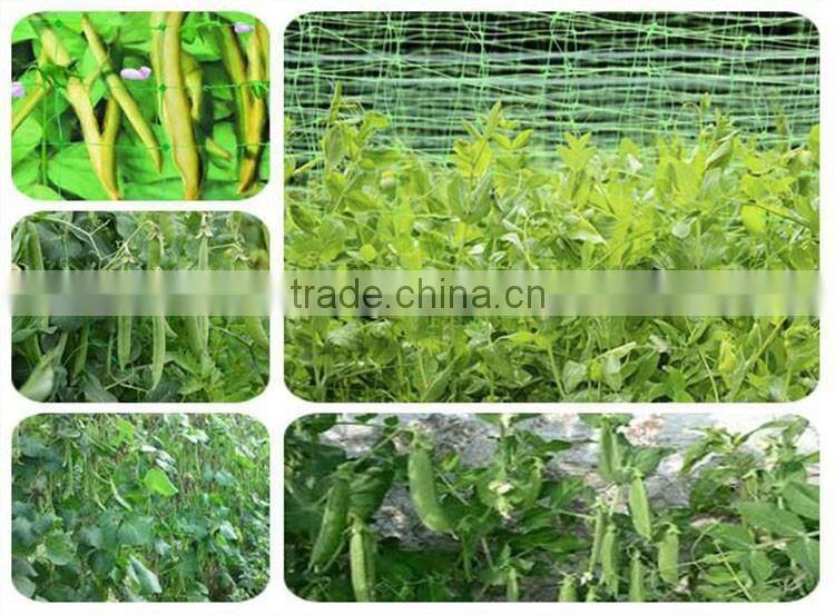 UV stablized BOP material strech net plant climbing mesh net
