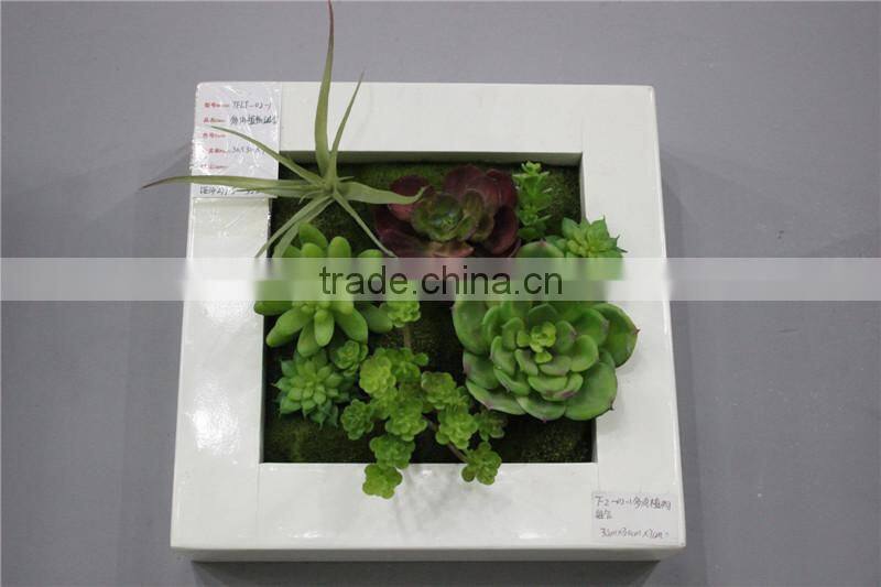 for home garden tiles deco 30*30*7cm paint color indoor artificial succlent boutique plant wall laminate combinations Ejq10 1201