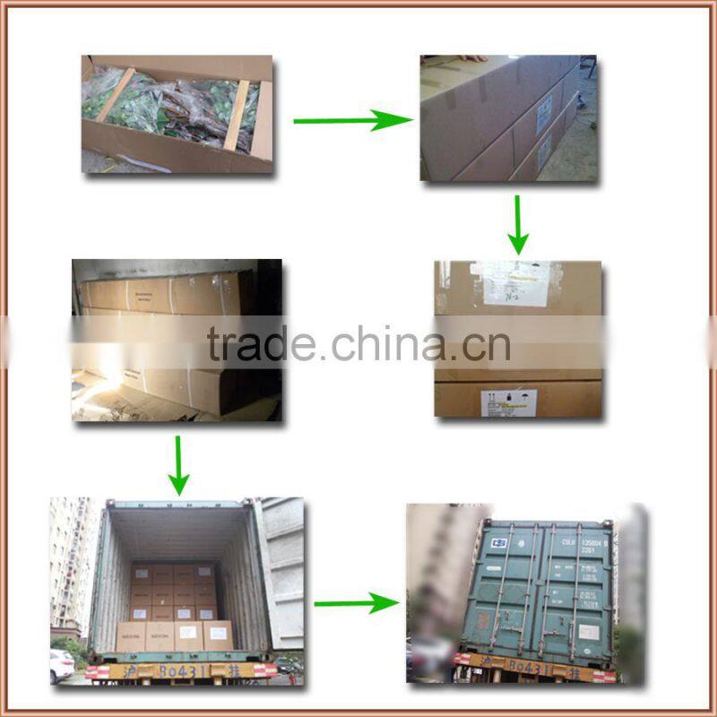 landscape outdoor artificial pine branch