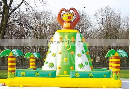 Hot sale of inflatable climbing wall products LT-4125F