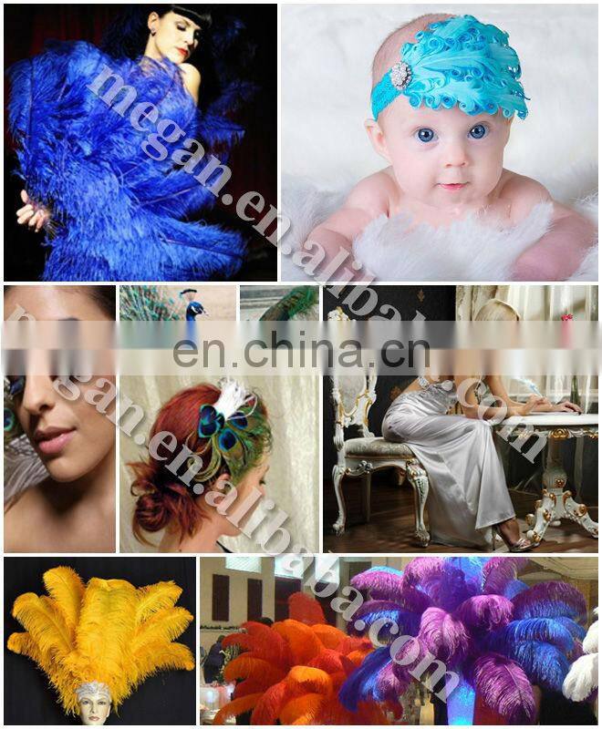 wholesale Top Quality White ostrich plumes feathers for sale