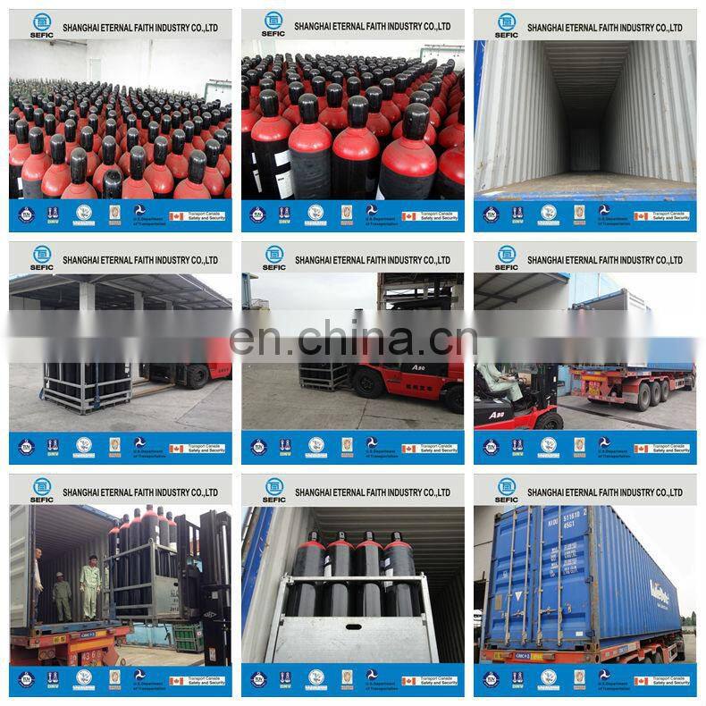 Large Production capacity 1-100L Nitrogen gas Disposable Nitrogen Cylinder Price