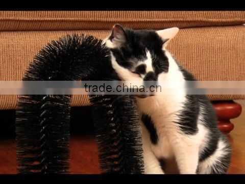 2015 New Design Good Quality Purrfect Arch