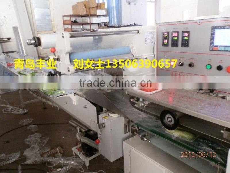 Automatic Fruit & Vegetables Packing/Wrapping Machine with Servo Motor