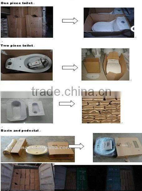 Made in China santary ware washdown two -piece bathroom toilet W8001