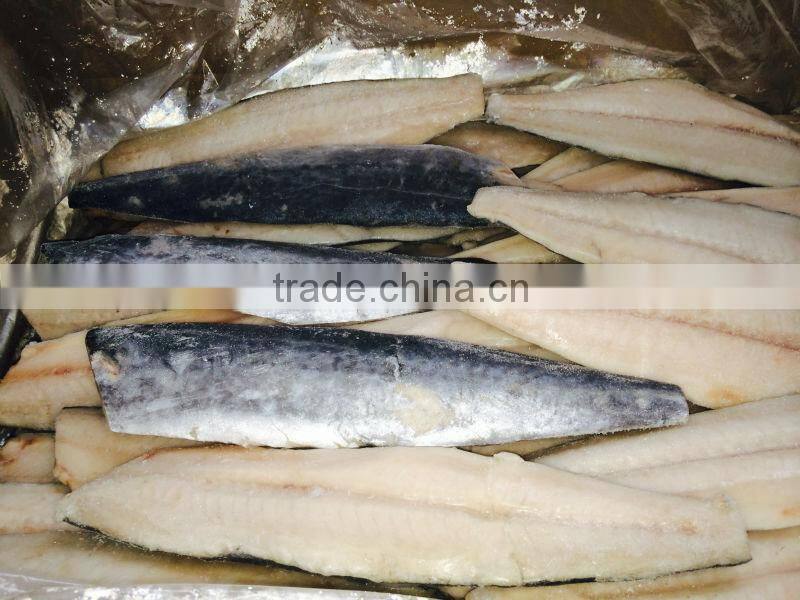 frozen spanish mackerel fillets