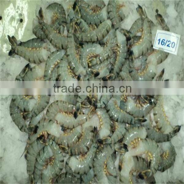 frozen bulk shrimp