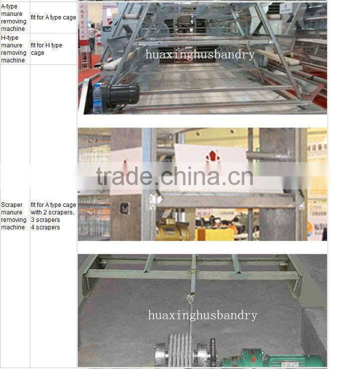 Best selling hen house design with full automatic system