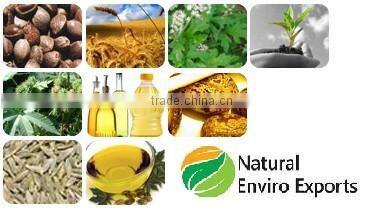 200 ltr Bulk Packing Castor Seed Oil