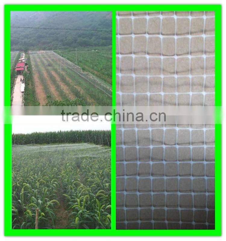 Suntex hot sale bird control netting/nylon anti bird net/vineyard anti bird net