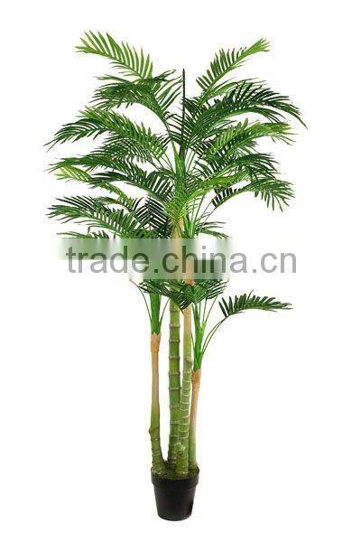 Classic mini palm tree for office decoration