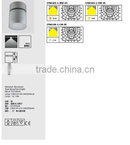 Indoor LED Ceiling Mounted Lamp
