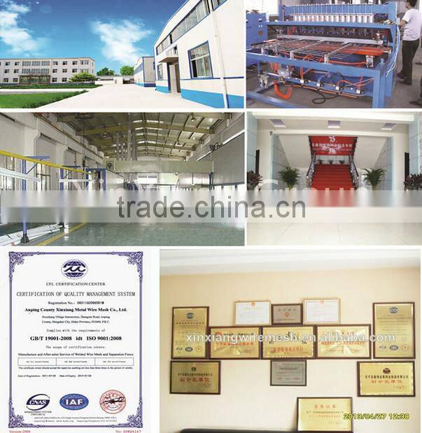 elegant iron fence design(direct factory)