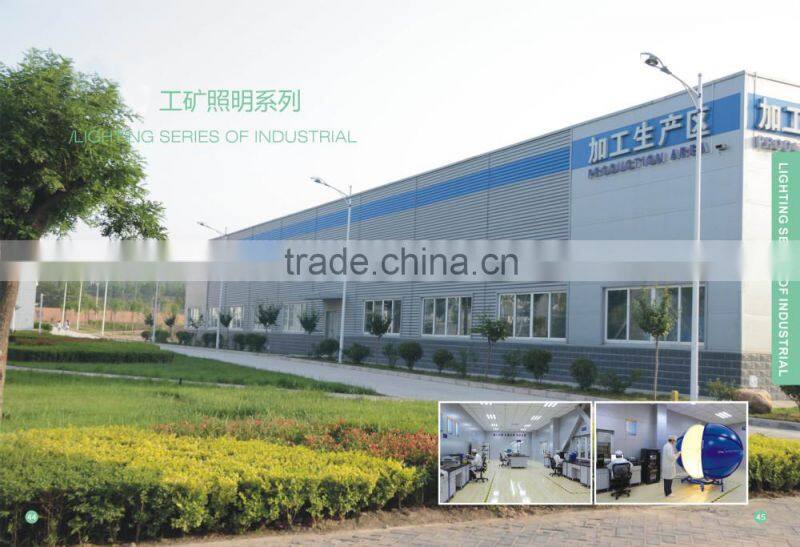 Flameproof/Explosion-proof/Anti-explosion LED Induction Lamp Of Roadway