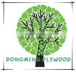 Matt White Color Polyester Face Blockboard