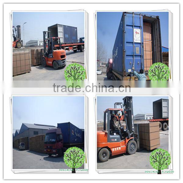 18mm Waterproof Plywood Sheet