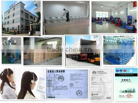 toilet cleaning powder