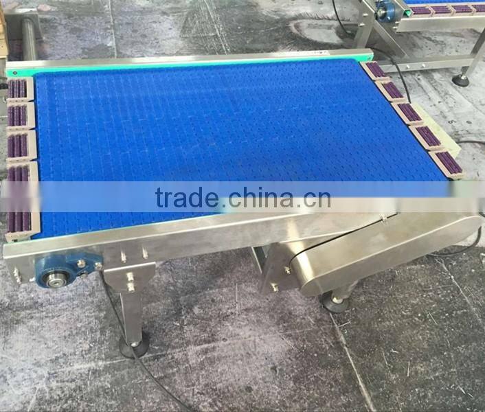 Factory customized plastic modular belt conveyor