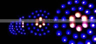 2016Newest High Brihtness stage light 36pcs *10w RGBW LED Moving Head Zoom Light