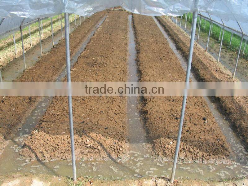 greenhouse for horticultural greenhouse for vegetable green houses material