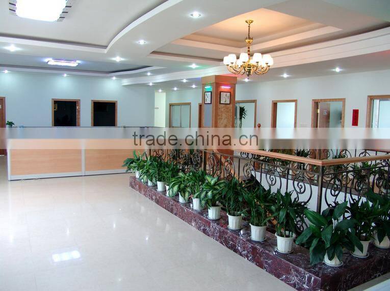 serigraph printing machine professional manufacturer