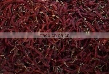 Export quality S-17 Stemless Teja chilly.