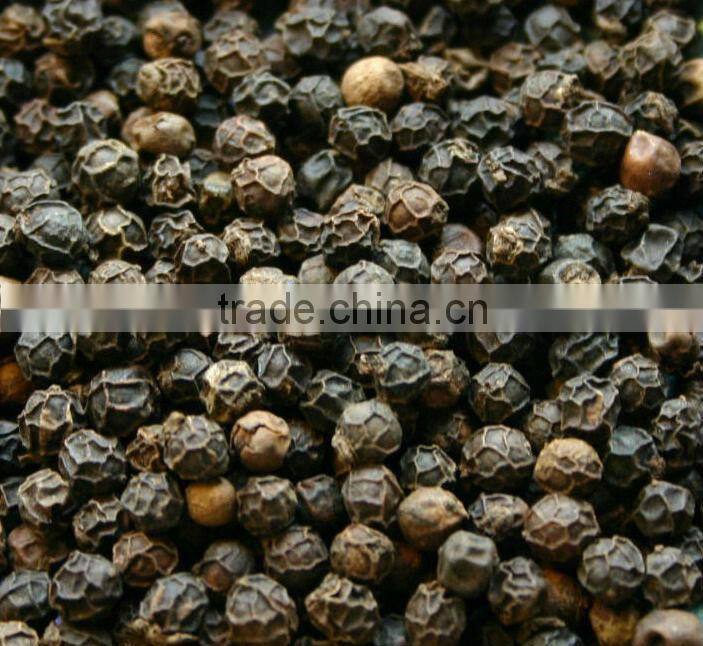 VIETNAM BLACK PEPPER HIGH QUALITY (skype &yahoo: visimex08)