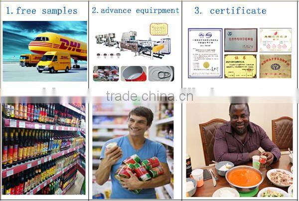 Petti brand tomato paste with high quality for Europe