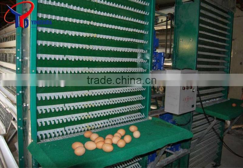 Galvanized Broiler Chicken Cage