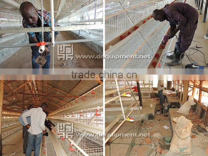 TA NO.1 lagos sample 120 birds a type poultry battery cage for nigerian farm