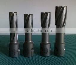 Bridge T.C.T Hollow drill bit for sale
