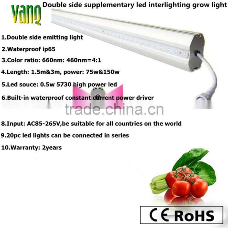 High PAR interlighting 150W LED grow light bar cucumber tomato strawberry