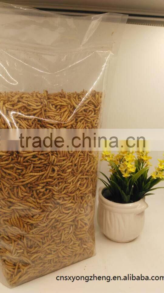 Natural animal feed and reptile food dried mealworm