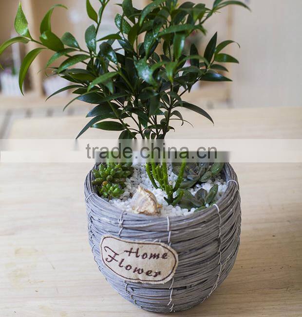 Natural handmade gardening pots container small wicker baskets