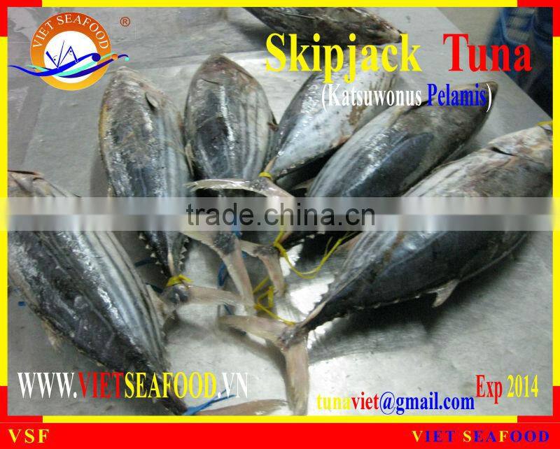 W/R FROZEN SKIPJACK TUNA