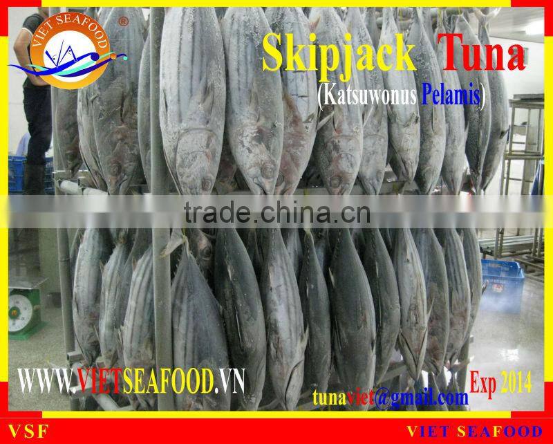 FROZEN W/R SKIPJACK TUNA