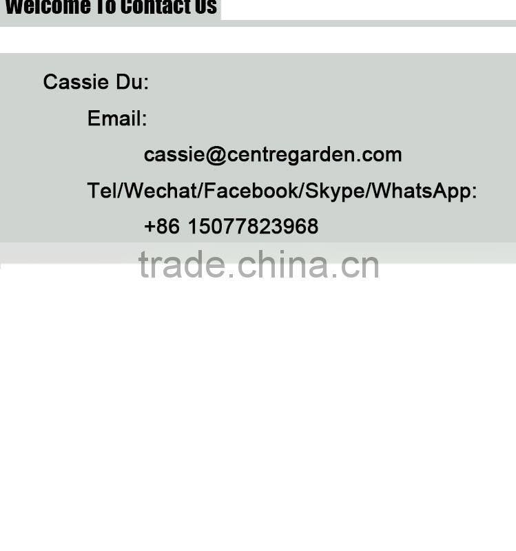 Small Kids Garden Colored Metal Pot